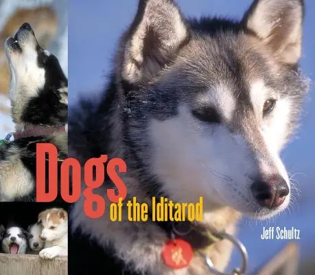 Les chiens de l'Iditarod - Dogs of the Iditarod