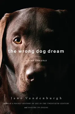 Wrong Dog Dream - Une véritable histoire d'amour - Wrong Dog Dream - A True Romance