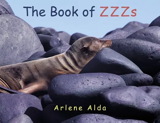 Le livre des ZZZ - The Book of ZZZs