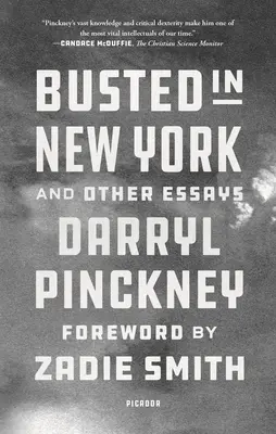 Busted in New York et autres essais - Busted in New York and Other Essays