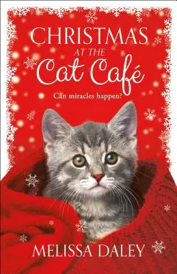 Noël au Cat Caf - Christmas at the Cat Caf