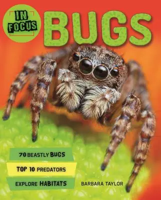 Zoom sur les insectes - In Focus: Bugs