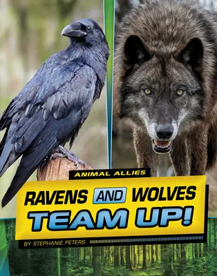 Les corbeaux et les loups font équipe ! - Ravens and Wolves Team Up!