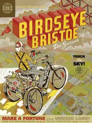 Bristol à œil d'oiseau - Birdseye Bristoe