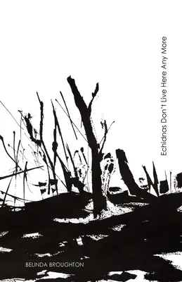 Les échidnés ne vivent plus ici : Poèmes sur la perte et le rétablissement depuis les feux de brousse de l'été noir - Echidnas Don't Live Here Any More: Poems of loss and recovery since the Black Summer bushfires