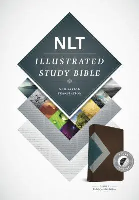 Bible d'étude illustrée-NLT - Illustrated Study Bible-NLT