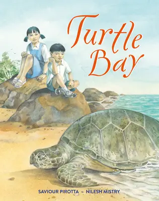 La Baie des Tortues - Turtle Bay