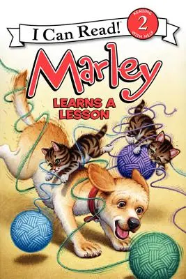 Marley apprend une leçon - Marley Learns a Lesson