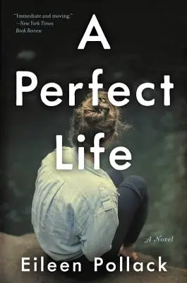 Une vie parfaite - A Perfect Life