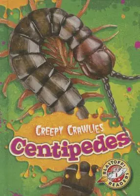 Mille-pattes - Centipedes