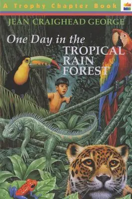 Un jour dans la forêt tropicale - One Day in the Tropical Rain Forest