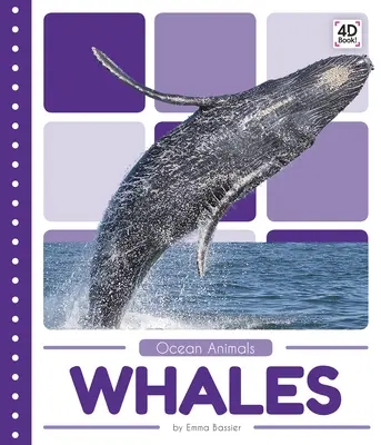 Baleines - Whales