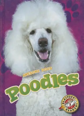 Caniches - Poodles