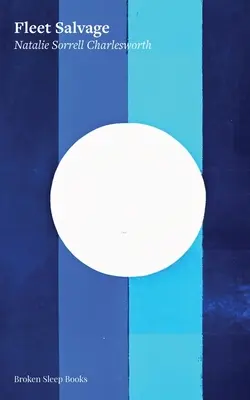 Flotte de sauvetage - Fleet Salvage