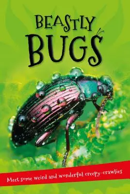 Tout savoir sur... Insectes bestiaux : Tout ce que vous voulez savoir sur les minibêtes en un seul livre étonnant - It's All about . . . Beastly Bugs: Everything You Want to Know about Minibeasts in One Amazing Book