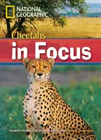 Les guépards en point de mire - Bibliothèque de lecture d'empreintes 2200 - Cheetahs in Focus - Footprint Reading Library 2200