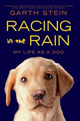 La course sous la pluie : Ma vie de chien - Racing in the Rain: My Life as a Dog