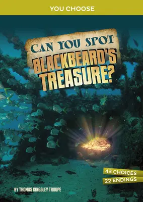 Pouvez-vous repérer le trésor de Barbe Noire ? Une aventure interactive au trésor - Can You Spot Blackbeard's Treasure?: An Interactive Treasure Adventure