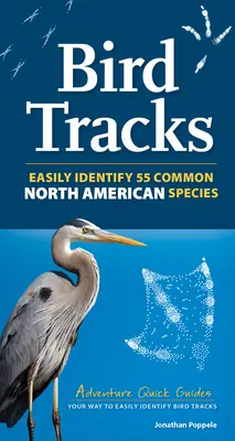 Traces d'oiseaux : Comprend 55 espèces d'Amérique du Nord - Bird Tracks: Includes 55 North American Species