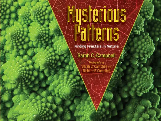 Motifs mystérieux : Les fractales dans la nature - Mysterious Patterns: Finding Fractals in Nature