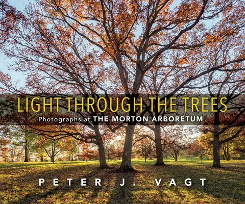 La lumière à travers les arbres : Photographies à l'Arboretum de Morton - Light Through the Trees: Photographs at the Morton Arboretum