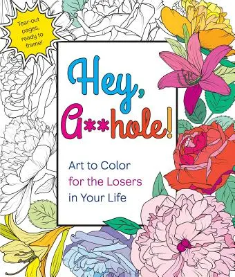 Hey, A**hole : De l'art à colorier pour les perdants de votre vie - Hey, A**hole: Art to Color for the Losers in Your Life