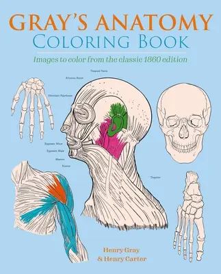 Livre de coloriage Gray's Anatomy : Images à colorier de l'édition classique de 1860 - Gray's Anatomy Coloring Book: Images to Color from the Classic 1860 Edition