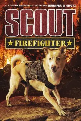 Scout : Pompier - Scout: Firefighter