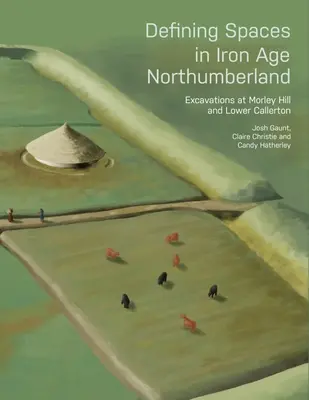 Définir les espaces dans le Northumberland de l'âge du fer : Fouilles à Morley Hill et Lower Callerton - Defining Spaces in Iron Age Northumberland: Excavations at Morley Hill and Lower Callerton