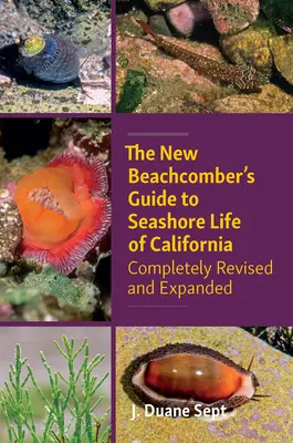 The New Beachcomber's Guide to Seashore Life of California : Entièrement révisé et augmenté - The New Beachcomber's Guide to Seashore Life of California: Completely Revised and Expanded