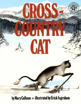 Le chat de la campagne - Cross-Country Cat