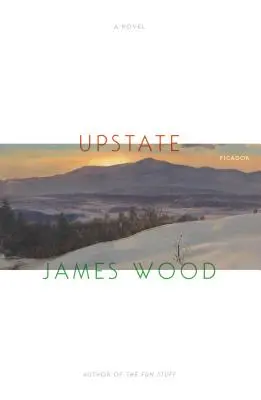 Le nord de l'État - Upstate