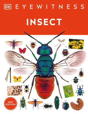 Insecte Eyewitness - Eyewitness Insect