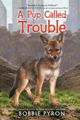 Un chiot appelé Trouble - A Pup Called Trouble