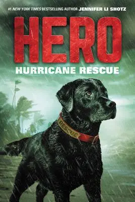 Héros : sauvetage en cas d'ouragan - Hero: Hurricane Rescue