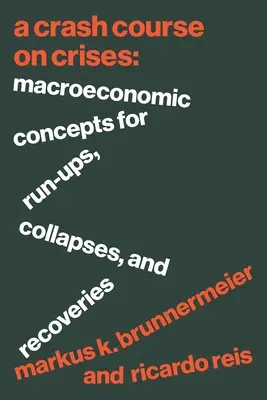 Un cours accéléré sur les crises : Concepts macroéconomiques pour les montées en puissance, les effondrements et les reprises - A Crash Course on Crises: Macroeconomic Concepts for Run-Ups, Collapses, and Recoveries