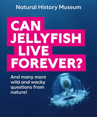 Les méduses peuvent-elles vivre éternellement ? Et bien d'autres questions sauvages et farfelues de la nature ! - Can Jellyfish Live Forever?: And Many More Wild and Wacky Questions from Nature!