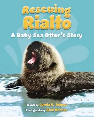 Sauver Rialto : L'histoire d'un bébé loutre de mer - Rescuing Rialto: A Baby Sea Otter's Story