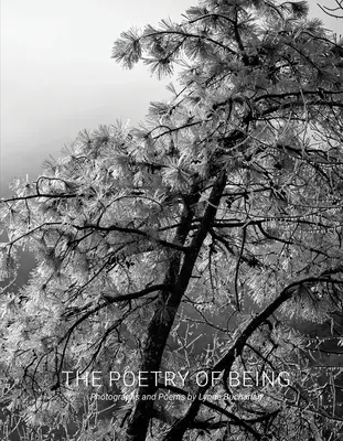 La poésie de l'être : Photographies et Haïkus - The Poetry of Being: Photographs and Haikus