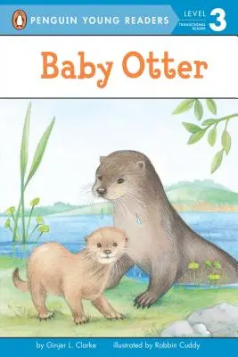 Bébé loutre - Baby Otter