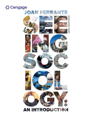 Voir la sociologie : Une introduction - Seeing Sociology: An Introduction