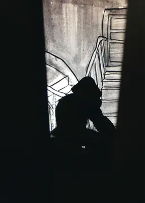 Zilla Leutenegger : Zillagorilla - Zilla Leutenegger: Zillagorilla