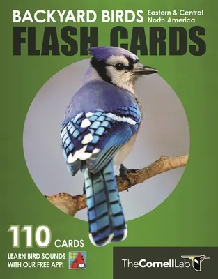 Cartes flash sur les oiseaux de la basse-cour - Amérique du Nord centrale et orientale - Backyard Birds Flash Cards - Eastern & Central North America