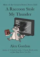 Le raton laveur a volé mon tonnerre - Raccoon Stole My Thunder