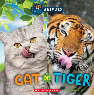 Chat ou tigre (Le monde sauvage : animaux de compagnie et animaux sauvages) - Cat or Tiger (Wild World: Pets and Wild Animals)