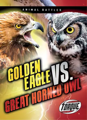 Aigle royal vs Grand-duc d'Europe - Golden Eagle vs. Great Horned Owl