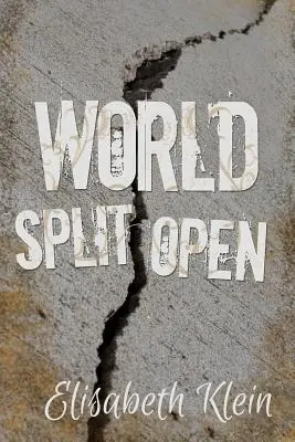 Un monde ouvert - World Split Open