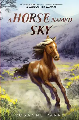 Un cheval nommé Sky - A Horse Named Sky