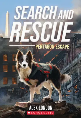 Recherche et sauvetage : L'évasion du Pentagone - Search and Rescue: Pentagon Escape