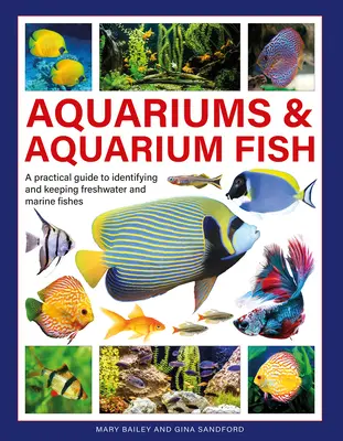 Aquariums et poissons d'aquarium : Un guide pratique pour identifier et conserver les poissons d'eau douce et d'eau de mer - Aquariums & Aquarium Fish: A Practical Guide to Identifying and Keeping Freshwater and Marine Fishes